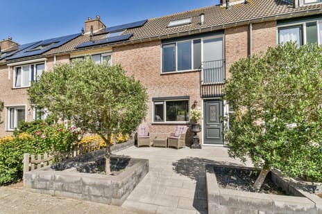 undefined main image