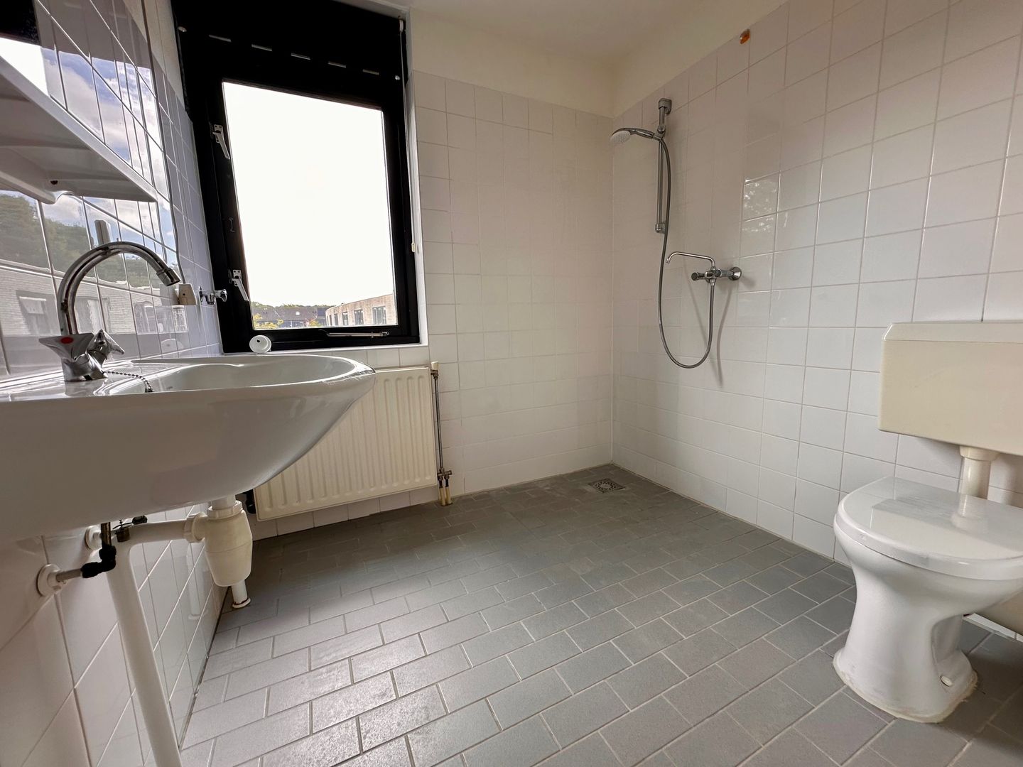 Foto 20 van Grote Haag 5