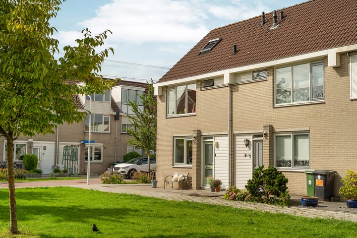 Foto 6 van Bronsveen 1