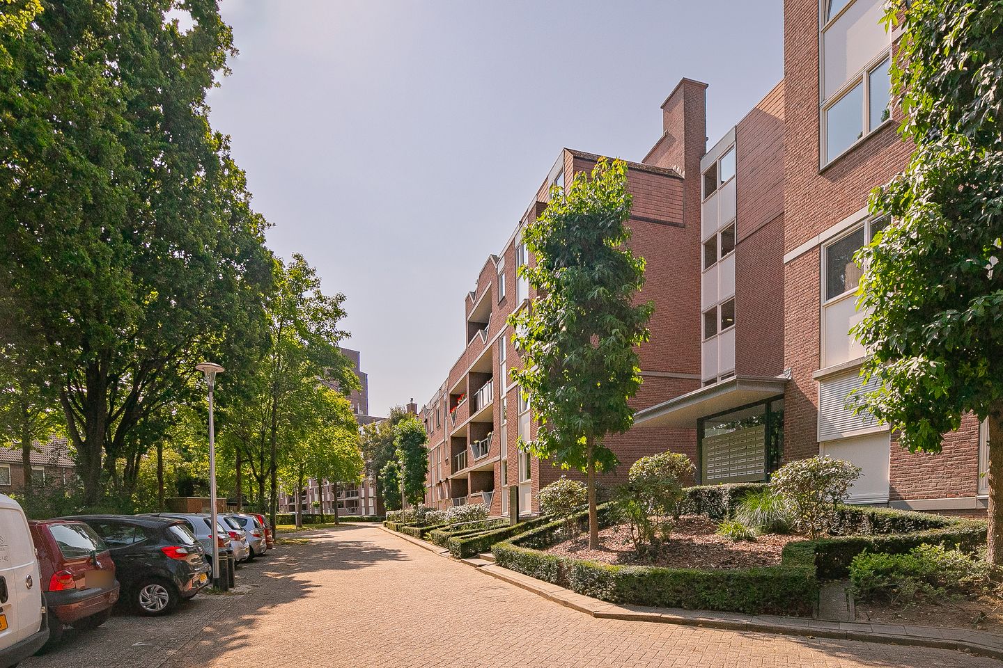 Foto 14 van Dillegaard 244