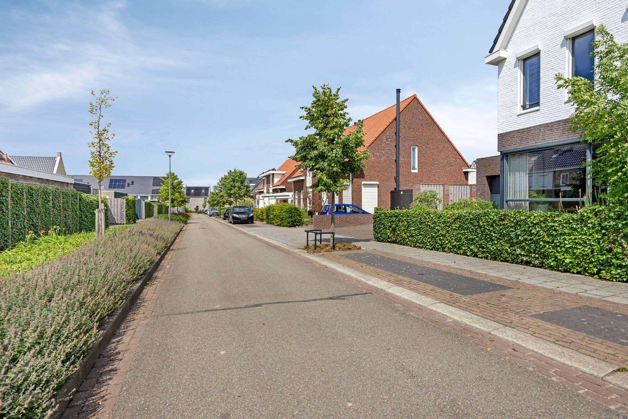 Foto 48 van Nieuwenhove 13