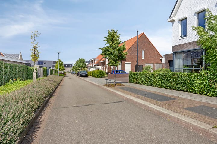 Foto 48 van Nieuwenhove 13