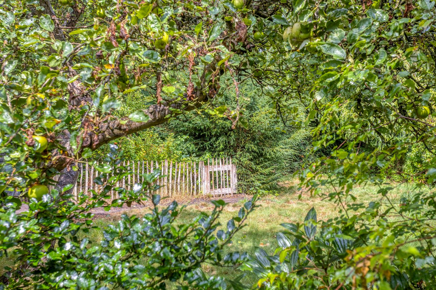 Foto 40 van Schuurkerkstraat 6