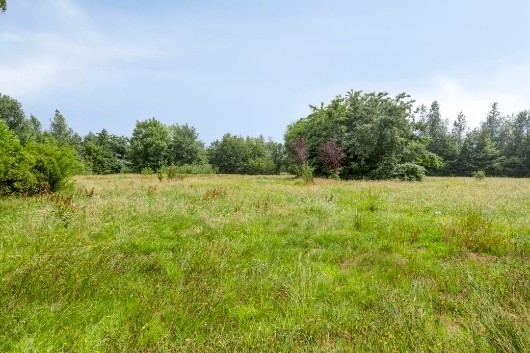 Foto 41 van Schuurkerkstraat 6