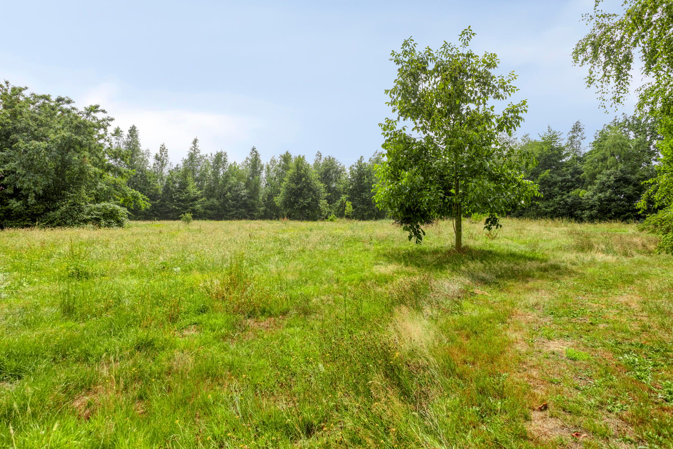 Foto 42 van Schuurkerkstraat 6