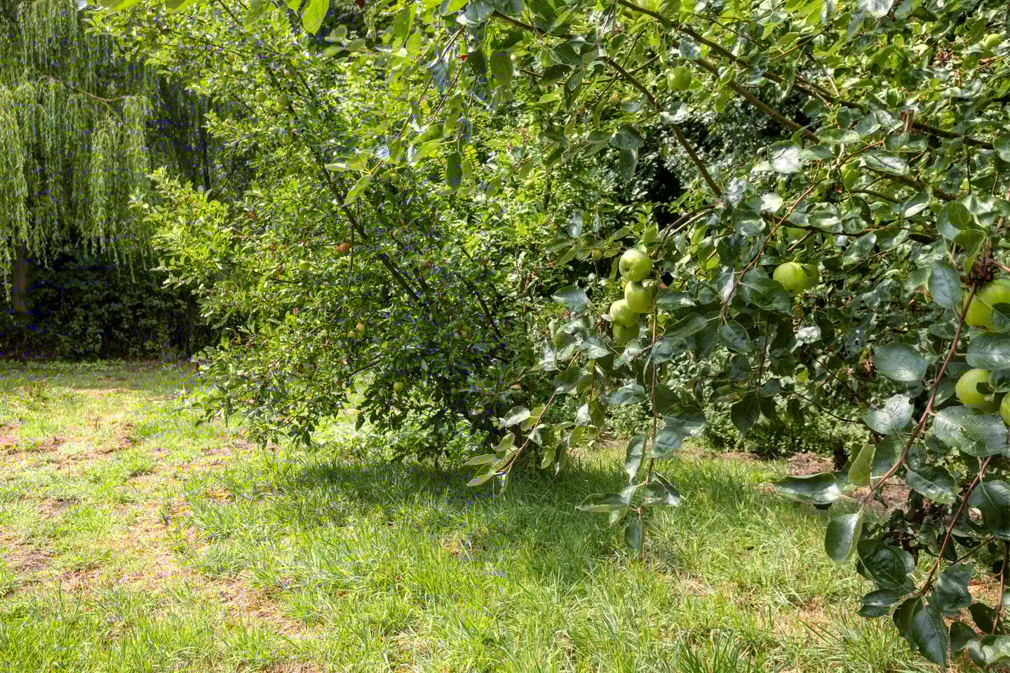 Foto 44 van Schuurkerkstraat 6