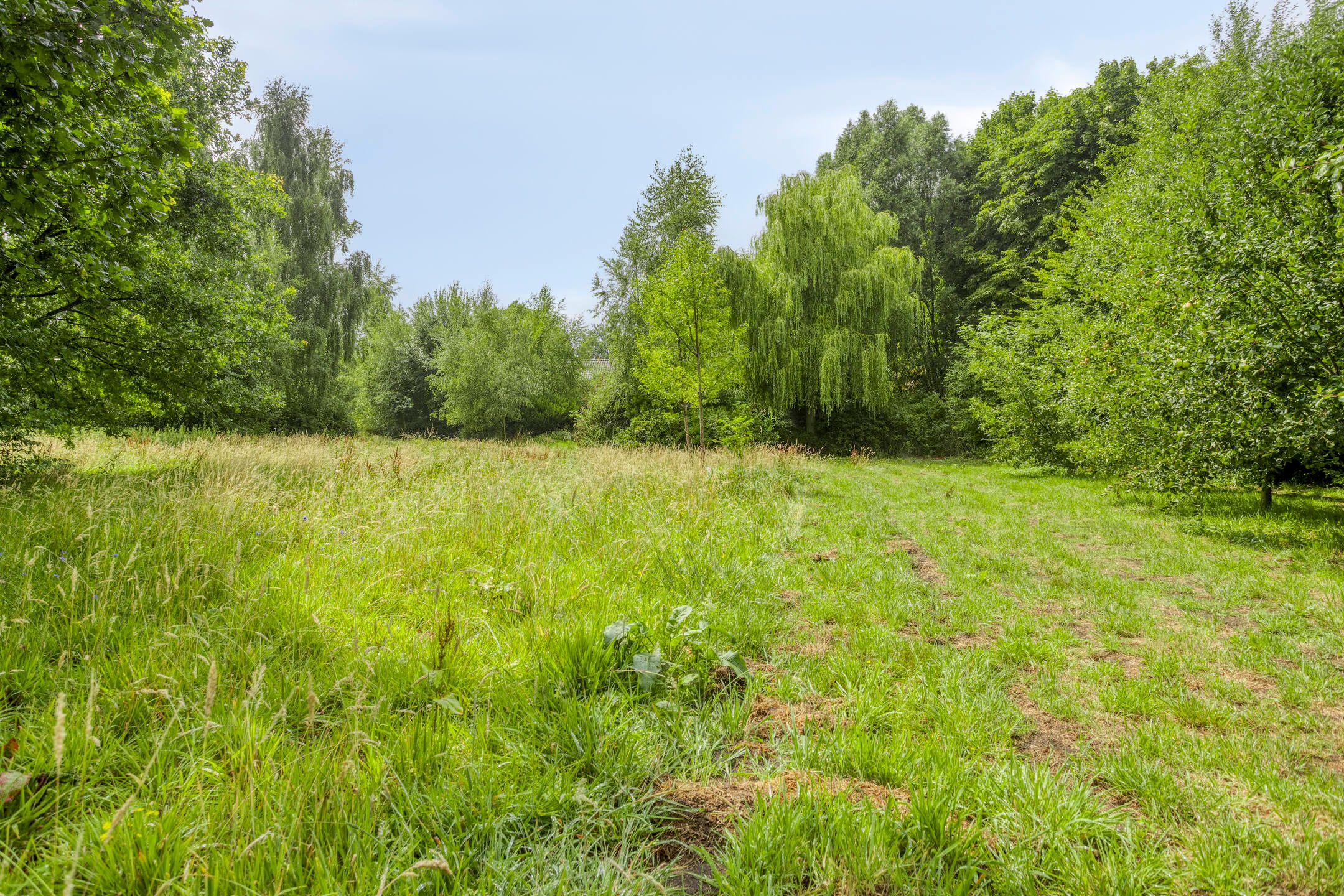 Foto 45 van Schuurkerkstraat 6