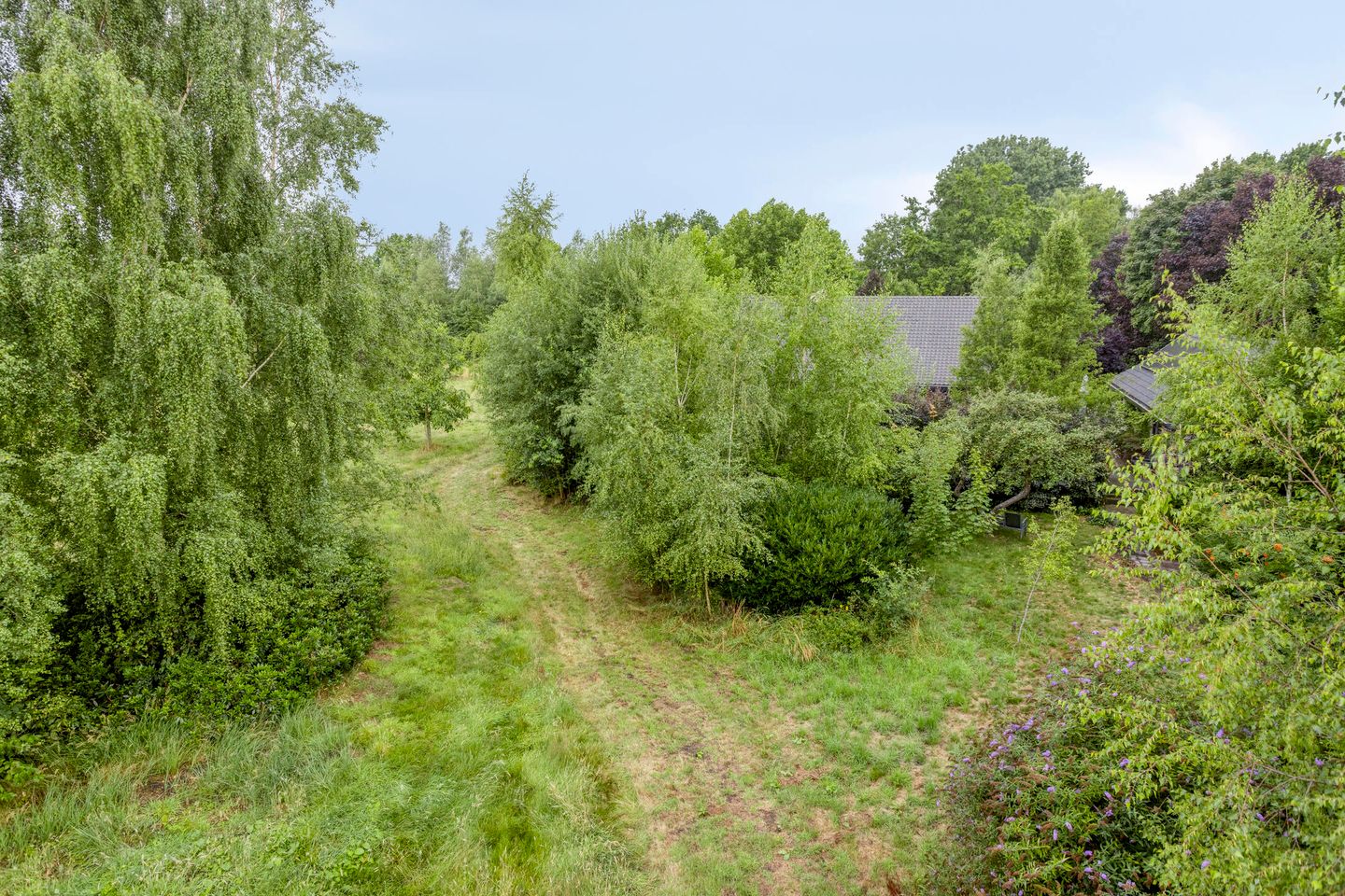 Foto 50 van Schuurkerkstraat 6