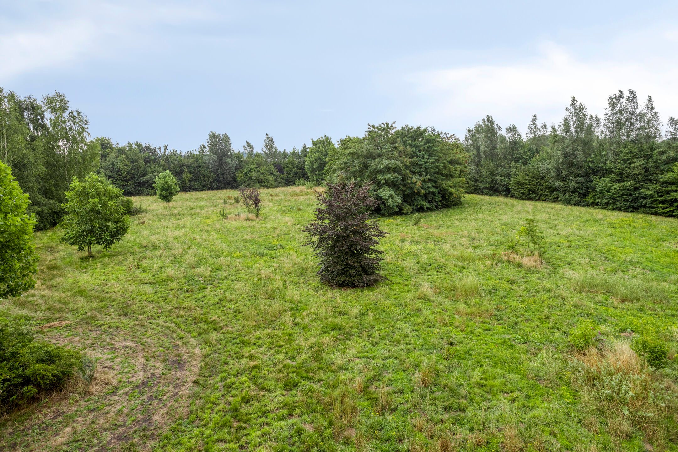 Foto 51 van Schuurkerkstraat 6