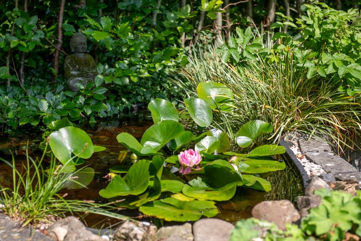 Foto 68 van Sweelincklaan 80