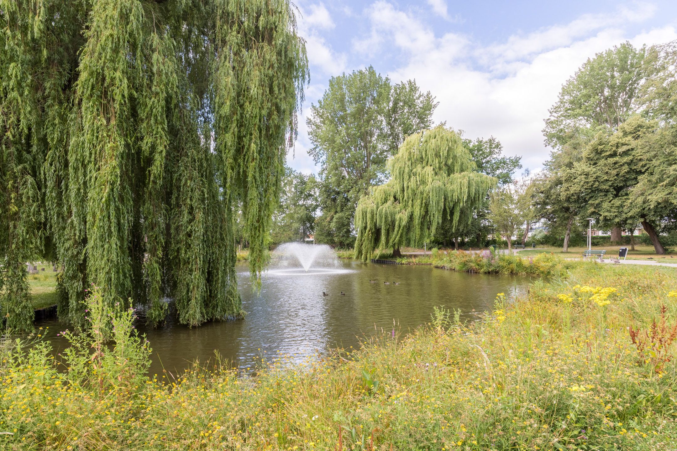 Foto 48 van Wouwsestraat 29