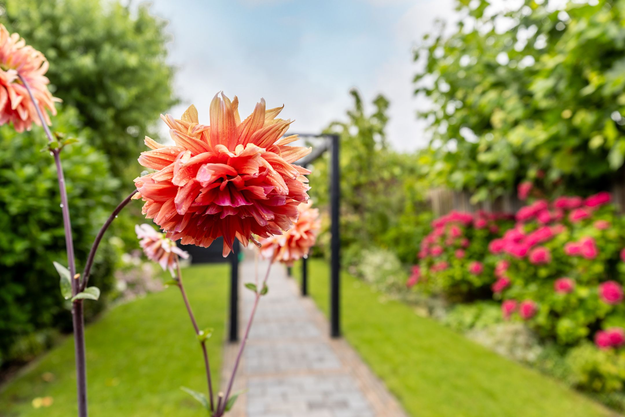 Foto 42 van Moriaanseweg Oost 147