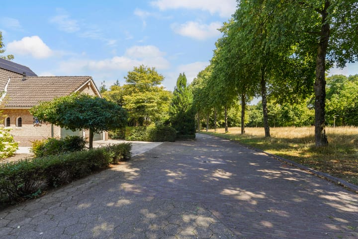 Foto 55 van Reest 26