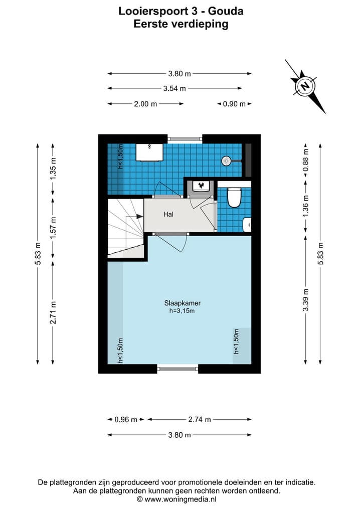 Foto 19 van Looierspoort 3