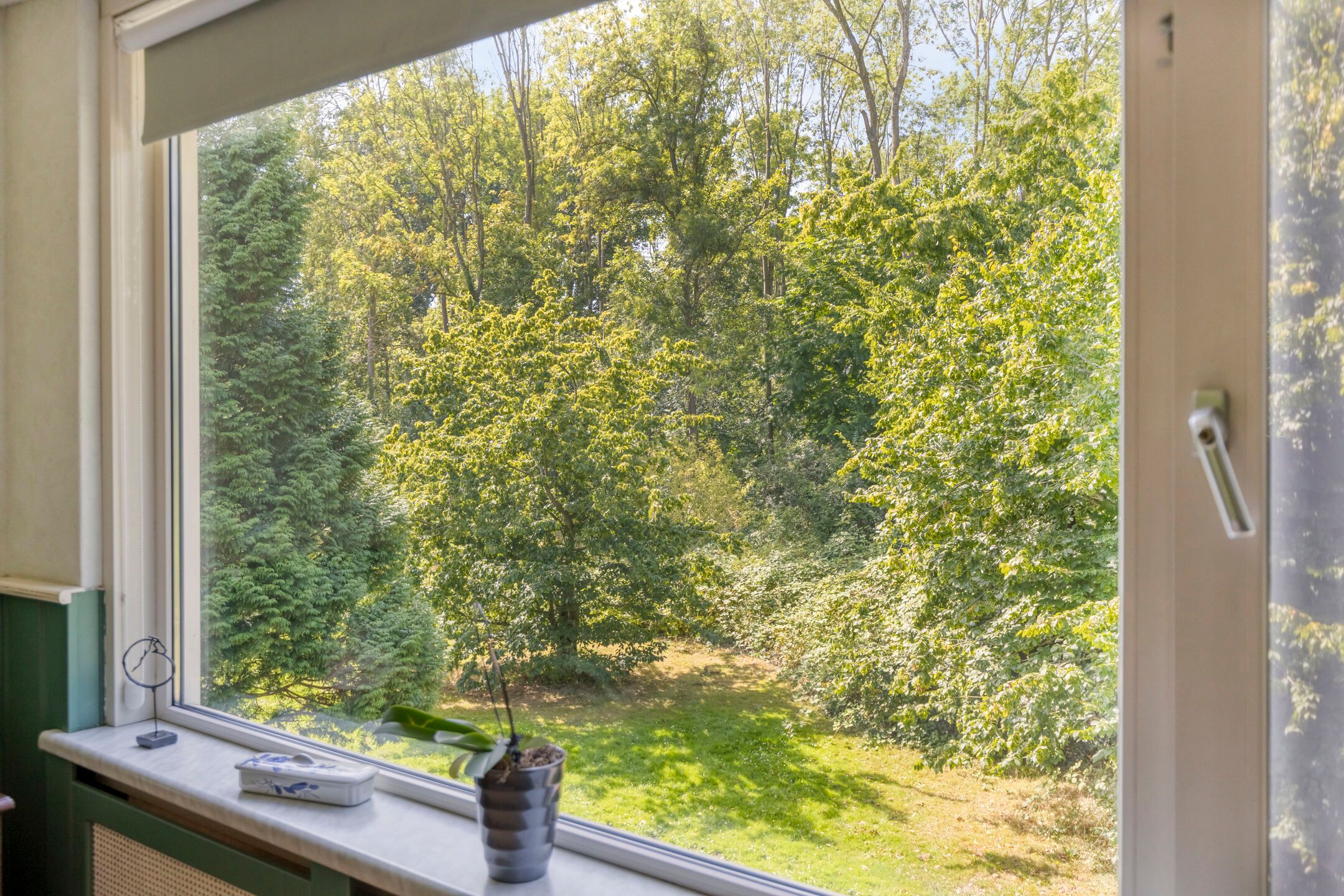 Foto 24 van Burggraafstraat 43