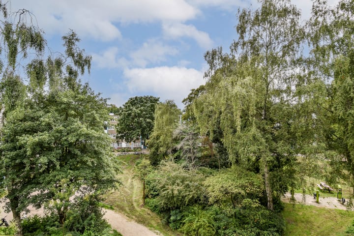 Foto 6 van Grootzeil 33