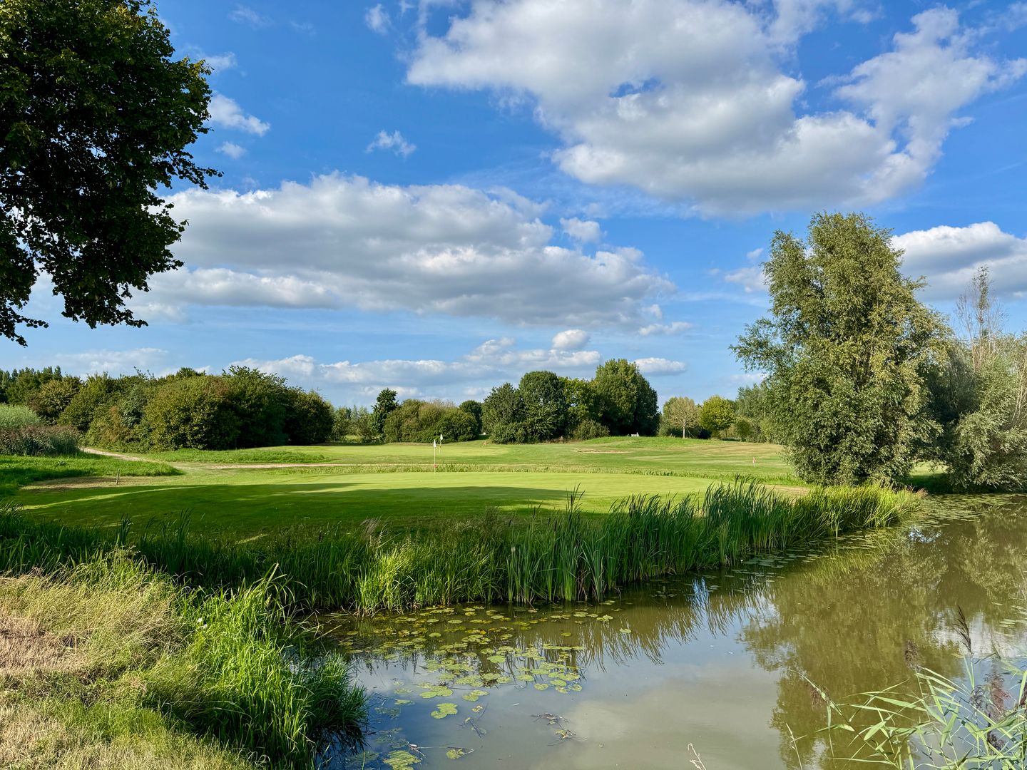 Foto 74 van Kruisstraat 17