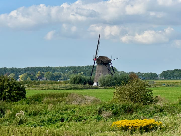 Photo 73 of Kruisstraat 17