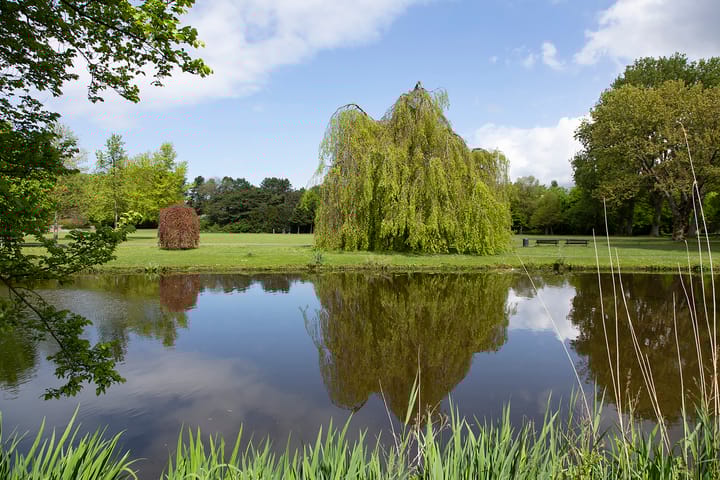 Foto 53 van Brahmsstraat 2-A