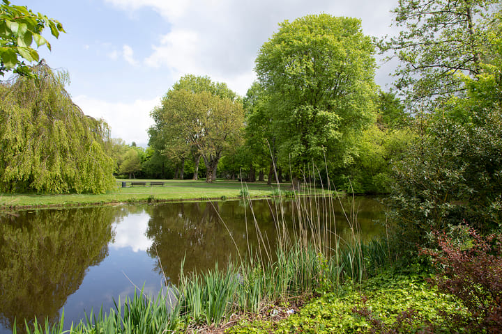 Foto 54 van Brahmsstraat 2-A