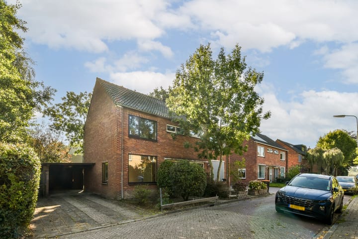 undefined main image