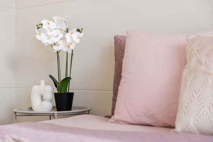 Photo 33 of Esscheweg 44