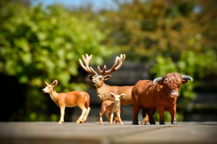 Foto 35 van Zandvoortselaan 305