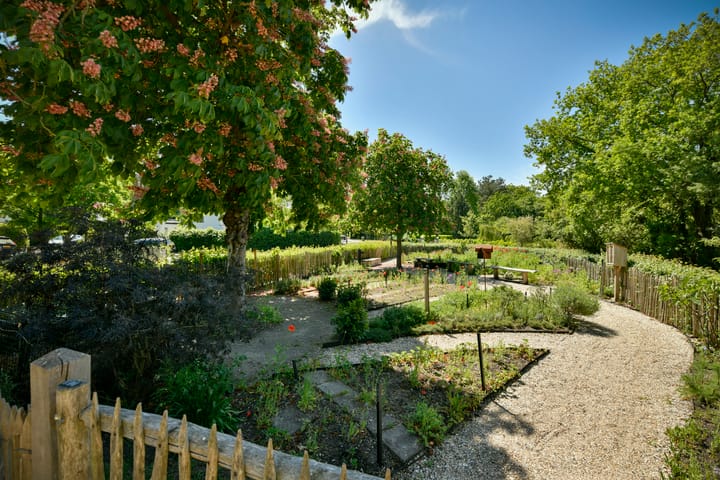 Foto 34 van Zandvoortselaan 305