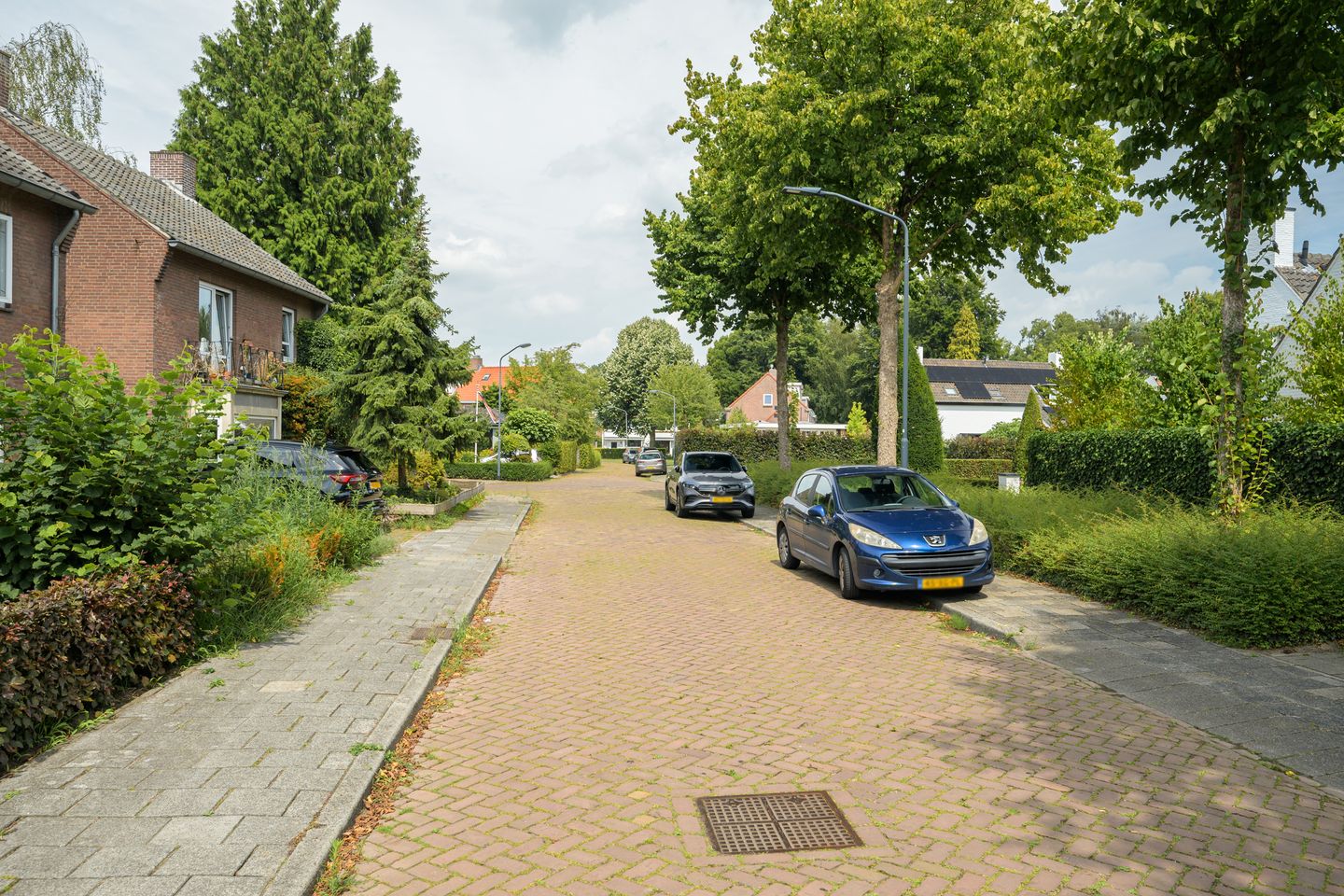 Foto 50 van Van Borsselestraat 3