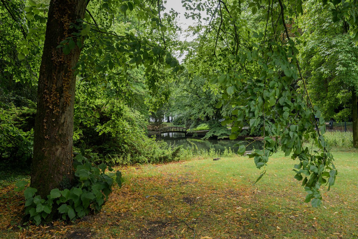 Foto 55 van Van Borsselestraat 3