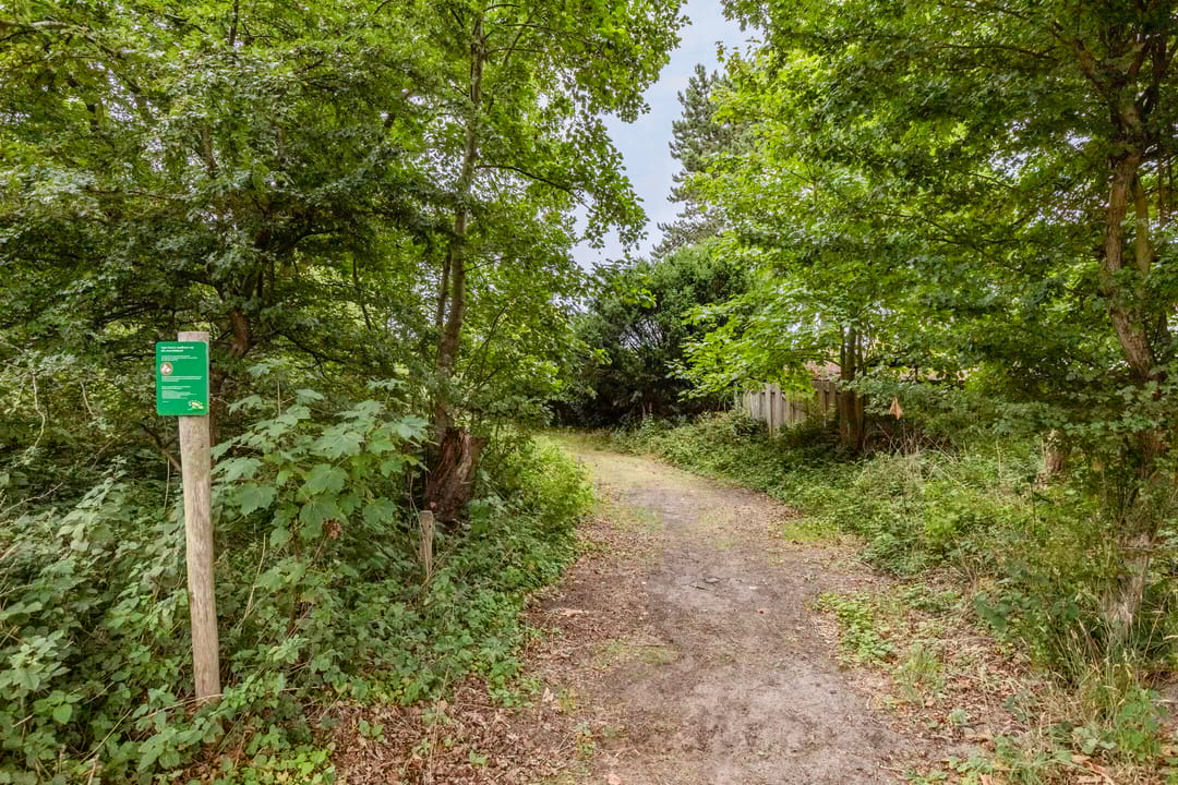 Foto 38 van De Sprong 10