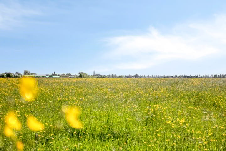 Photo 29 of Driestedenweg 129