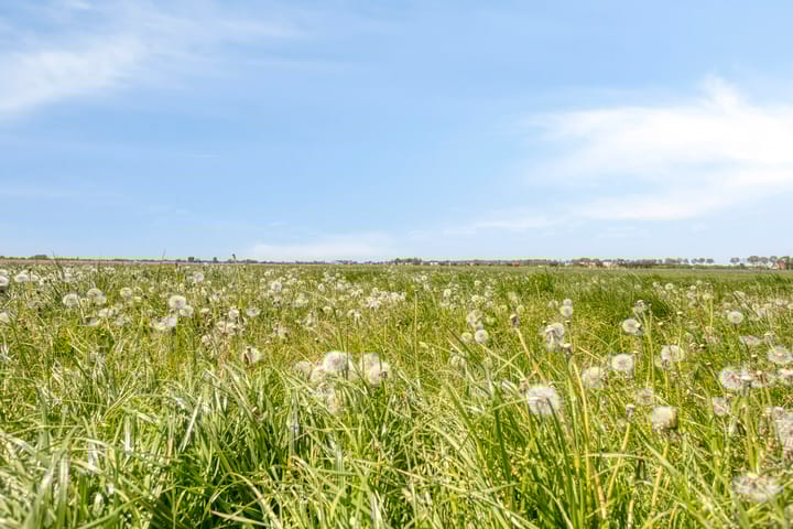 Photo 34 of Driestedenweg 129