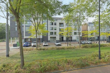 undefined main image