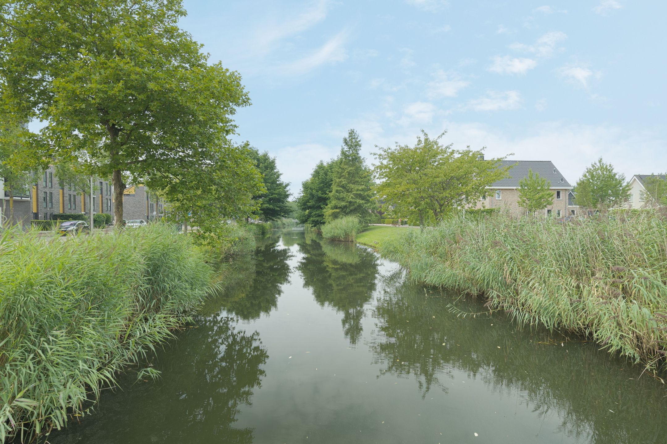 Foto 6 van Avenue Carnisse 172