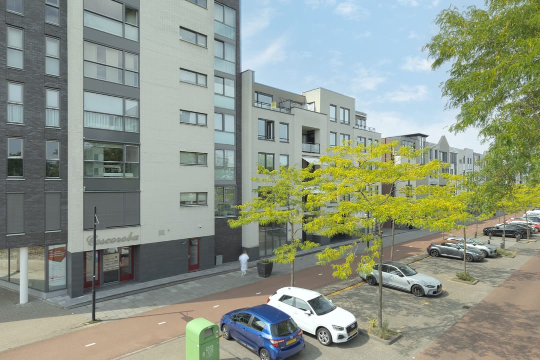 Foto 8 van Avenue Carnisse 172