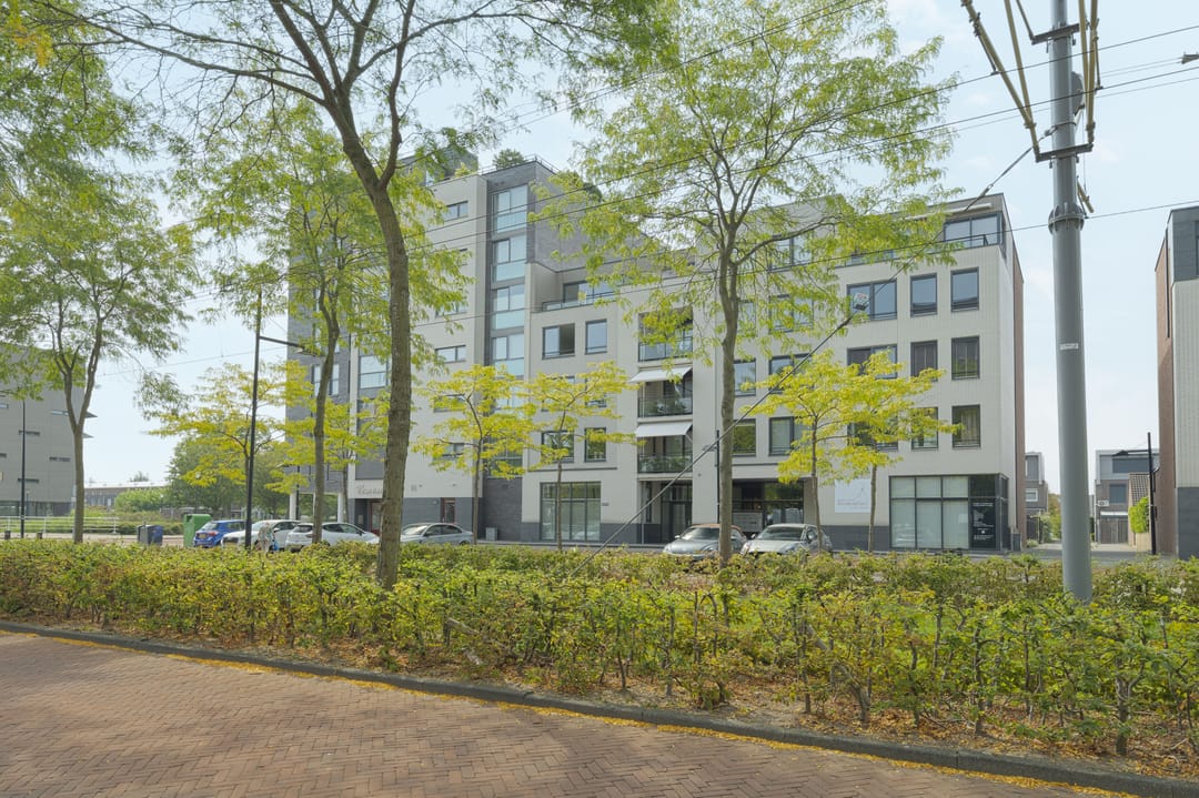 Foto 31 van Avenue Carnisse 172