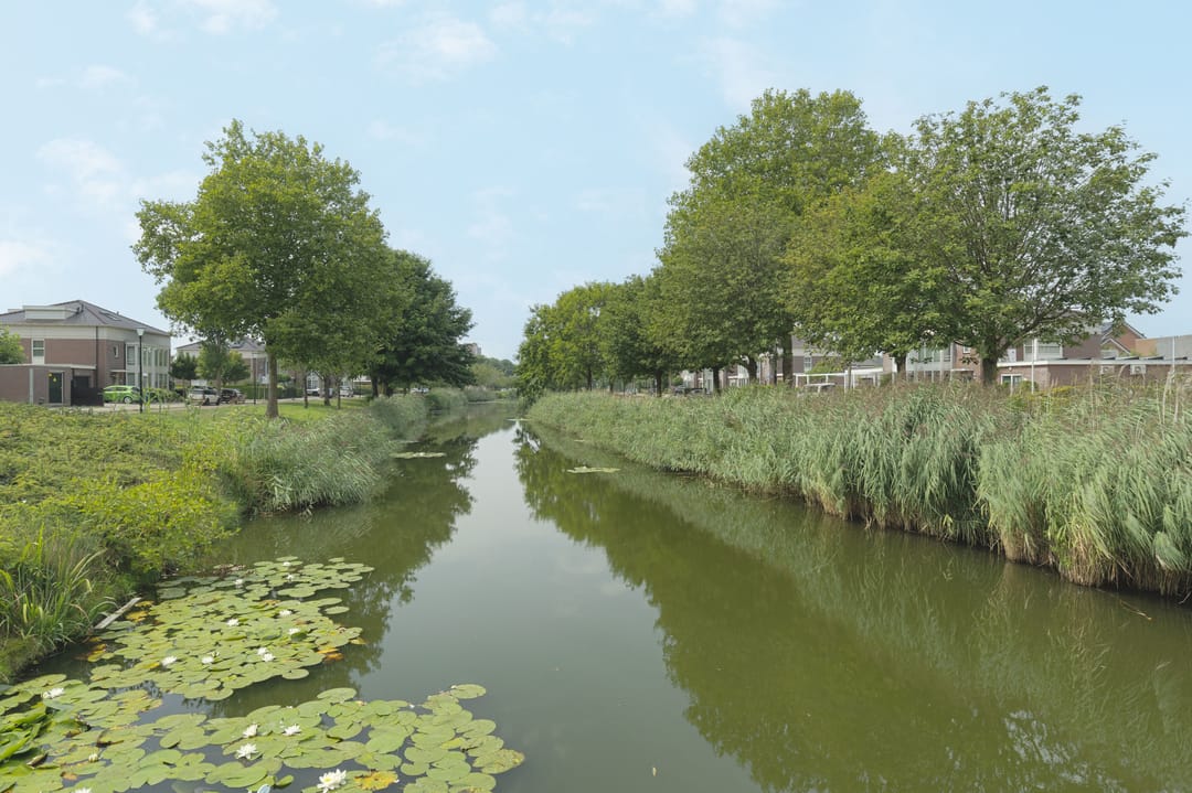 Foto 37 van Avenue Carnisse 172