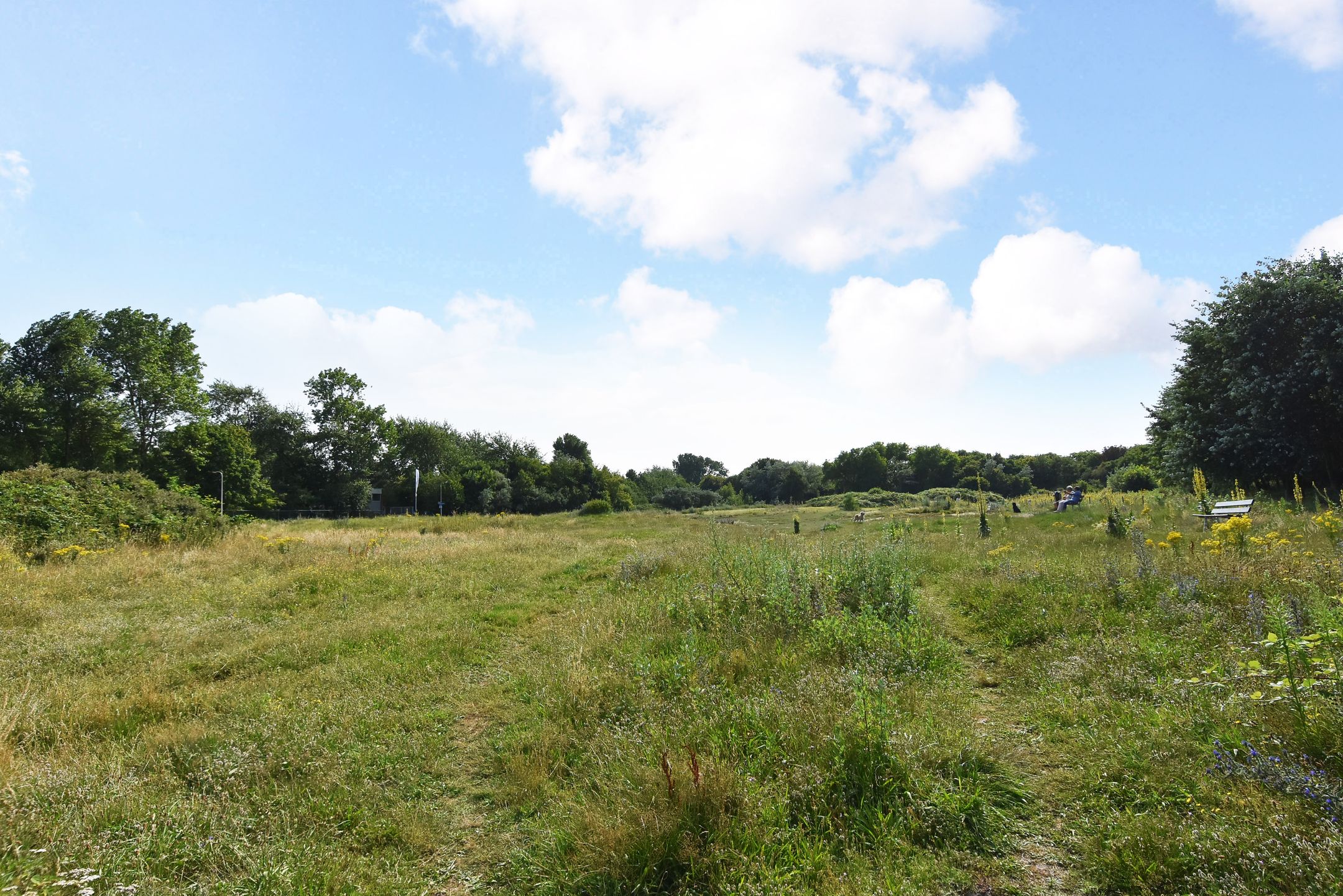 Foto 57 van Godetiaweg 66