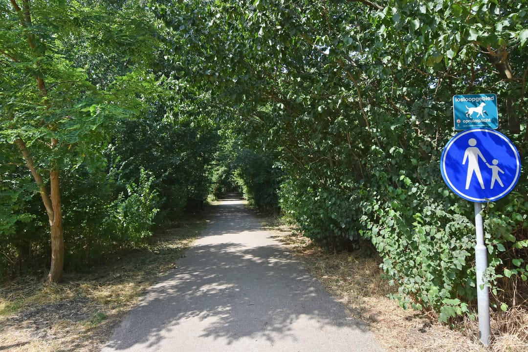 Foto 58 van Godetiaweg 66