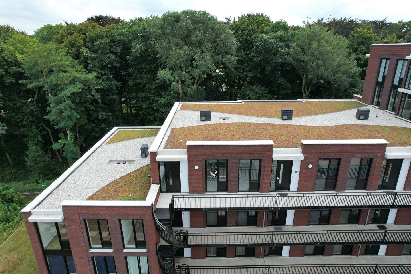 Foto 4 van Pater Luijtenpad 65