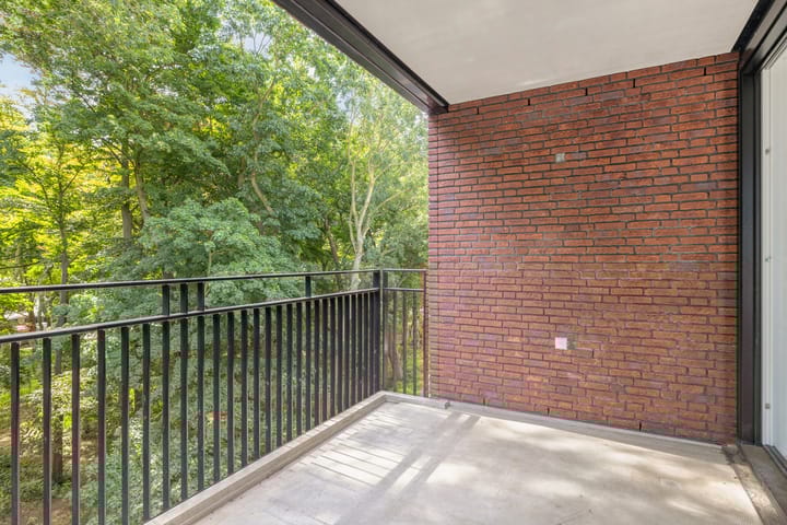 Foto 5 van Pater Luijtenpad 65