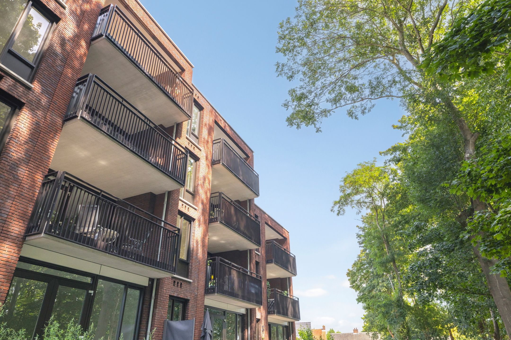 Foto 6 van Pater Luijtenpad 65