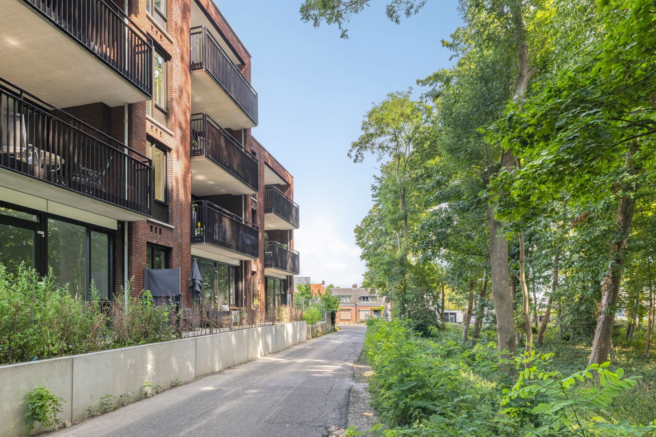 Foto 33 van Pater Luijtenpad 65