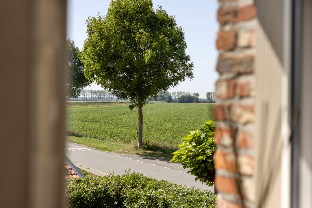 Photo 37 of Graauwsedijk 15