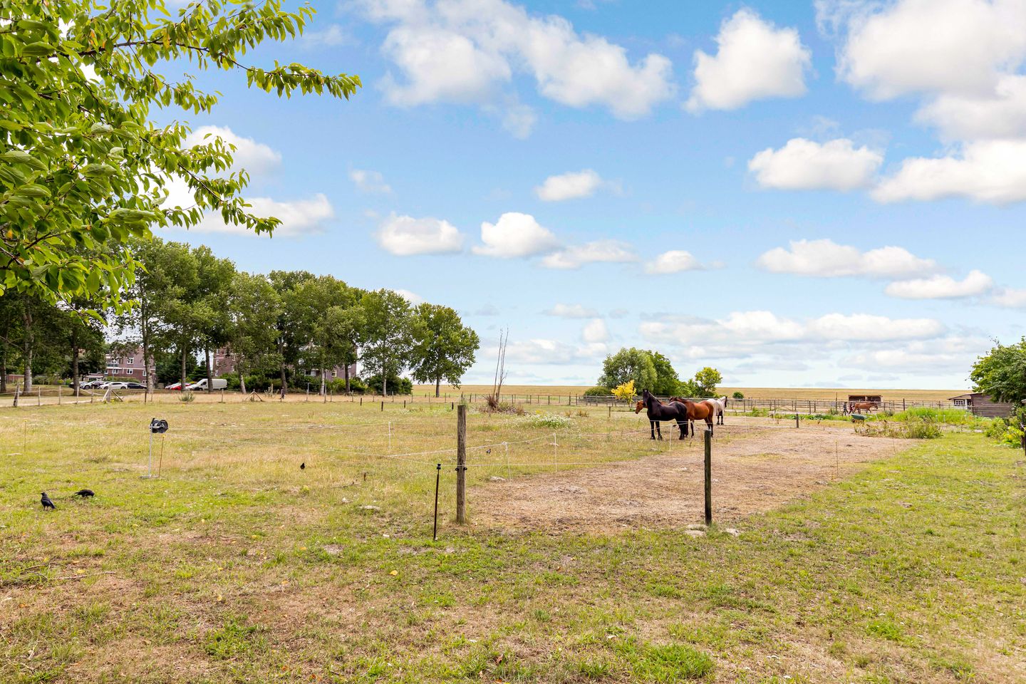 Foto 49 van Dijkmeent 67