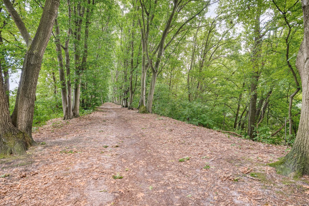 Photo 46 of Markkant 75