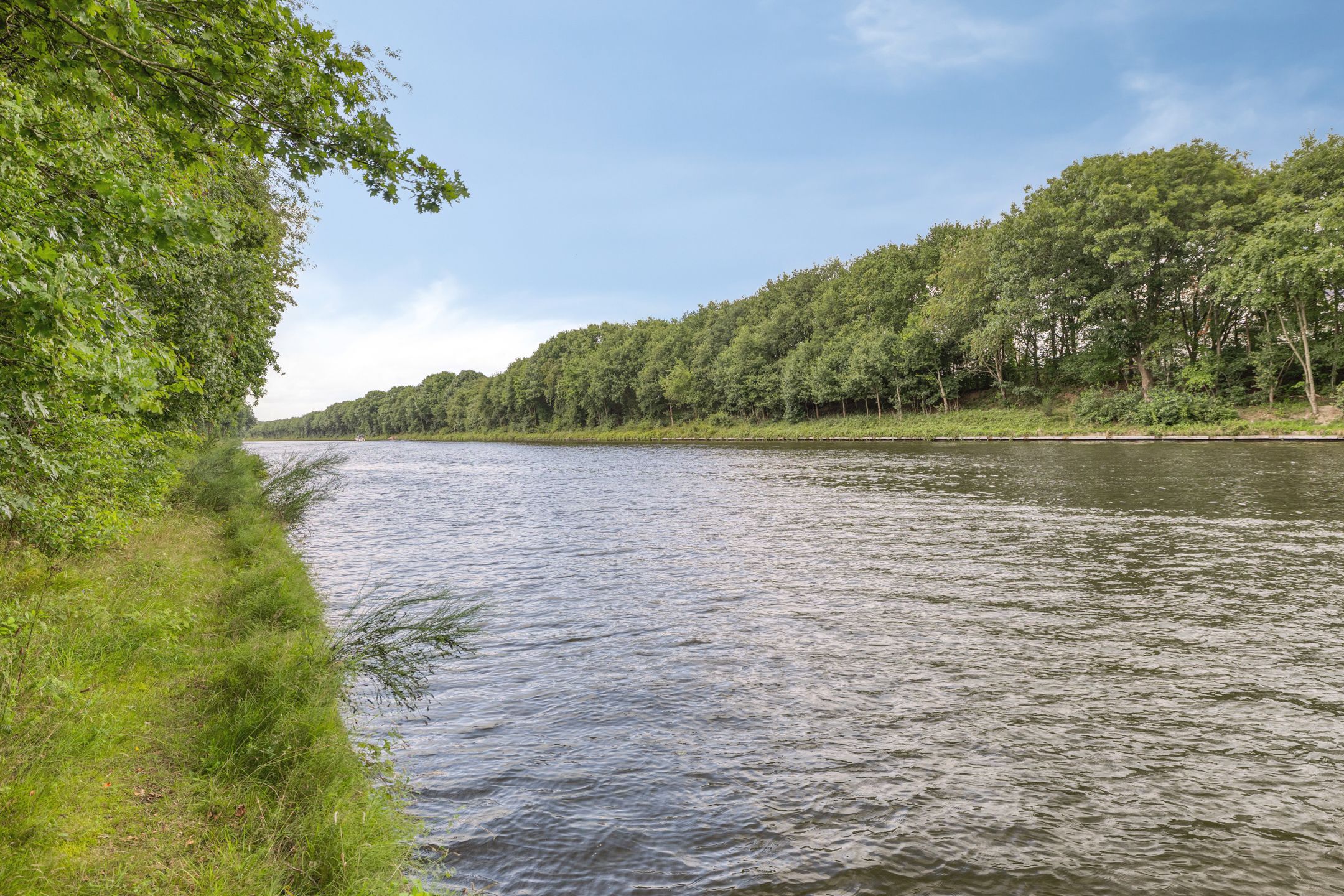 Photo 48 of Markkant 75