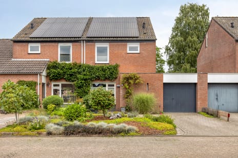 undefined main image