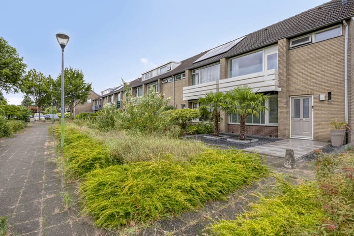 Foto 5 van Bergschot 300